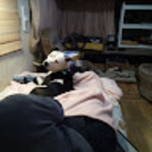 Meet your Posher, Edward